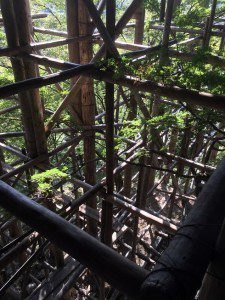 清水寺の骨組み